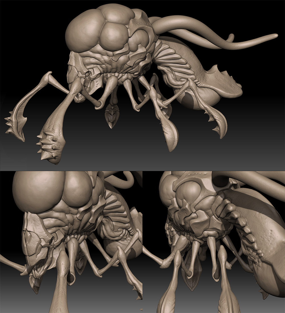 Crea_01.jpg