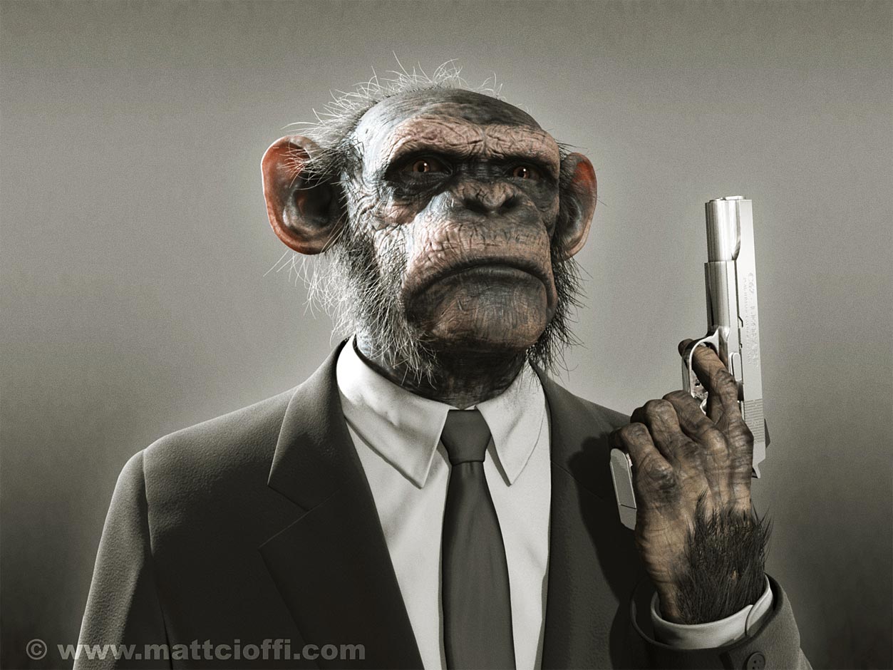 chimp24ZBC.jpg