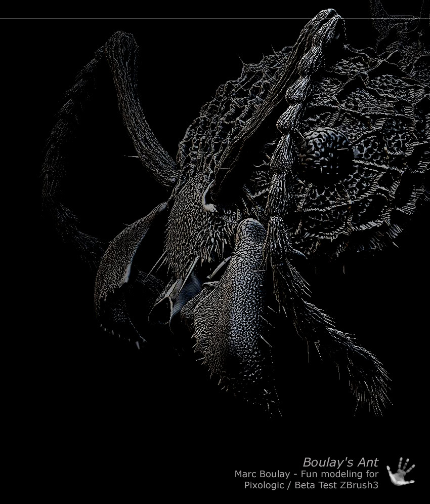 ant_boulay_01.jpg