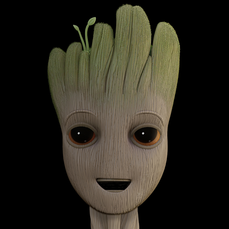compThumb.jpg