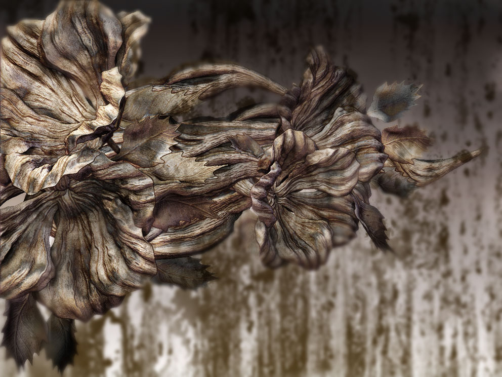 06-Flower-01-test.jpg