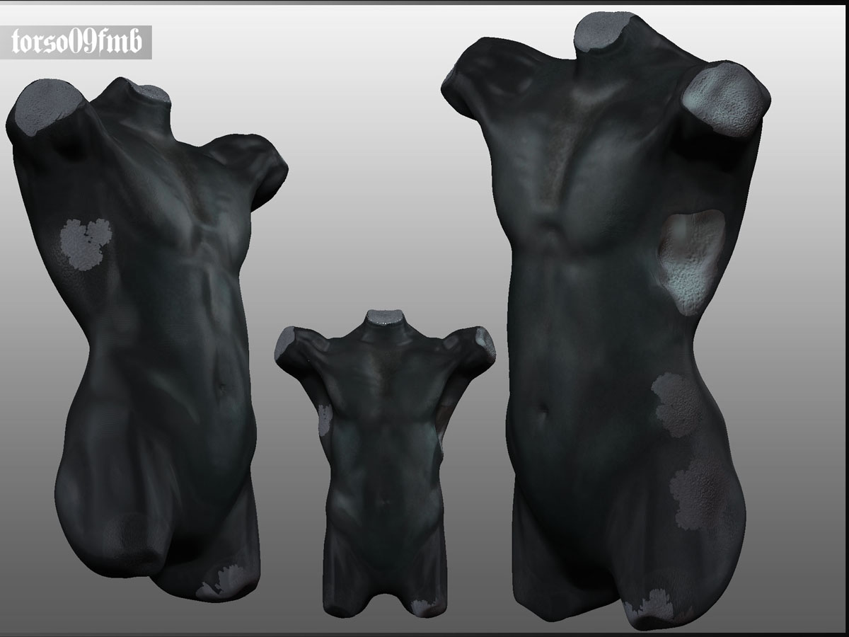 torso_fmb_small.jpg