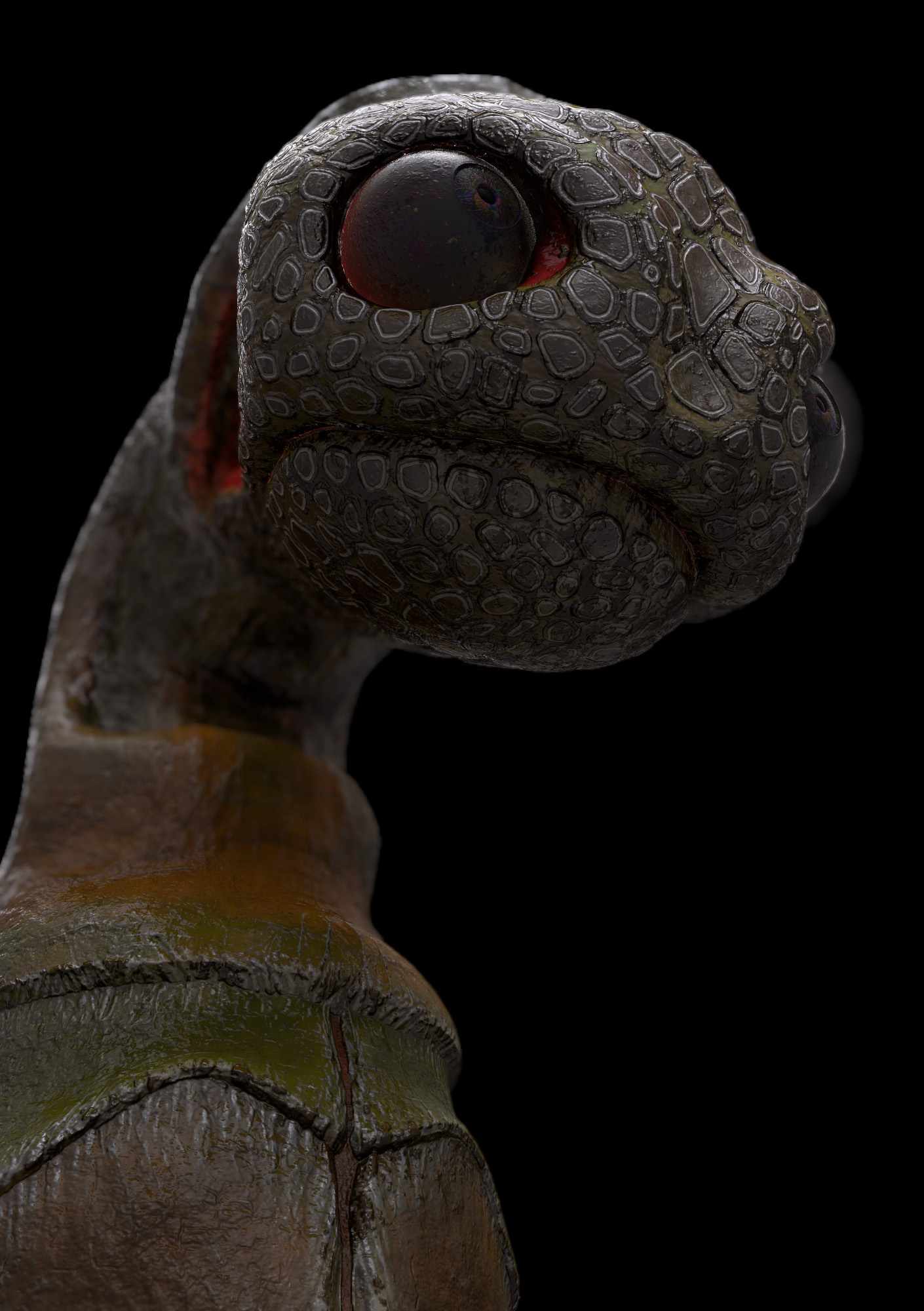 turtle_dragon_01.jpg