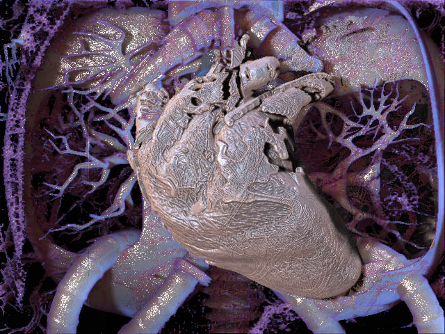 dead heart.jpg