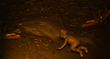 DOLPHINOIL 29.jpg