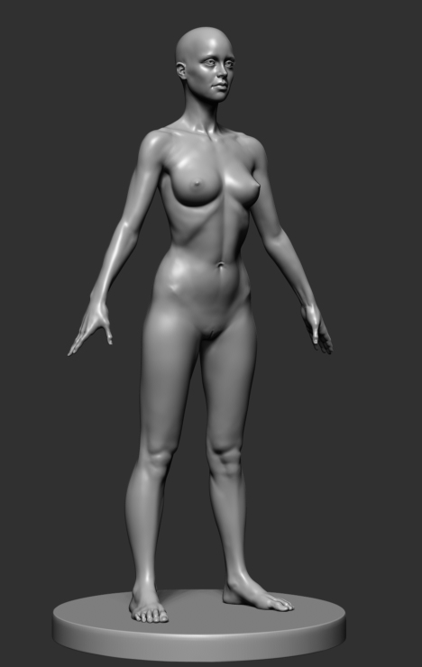 fem_anatomy_v2_03.jpg