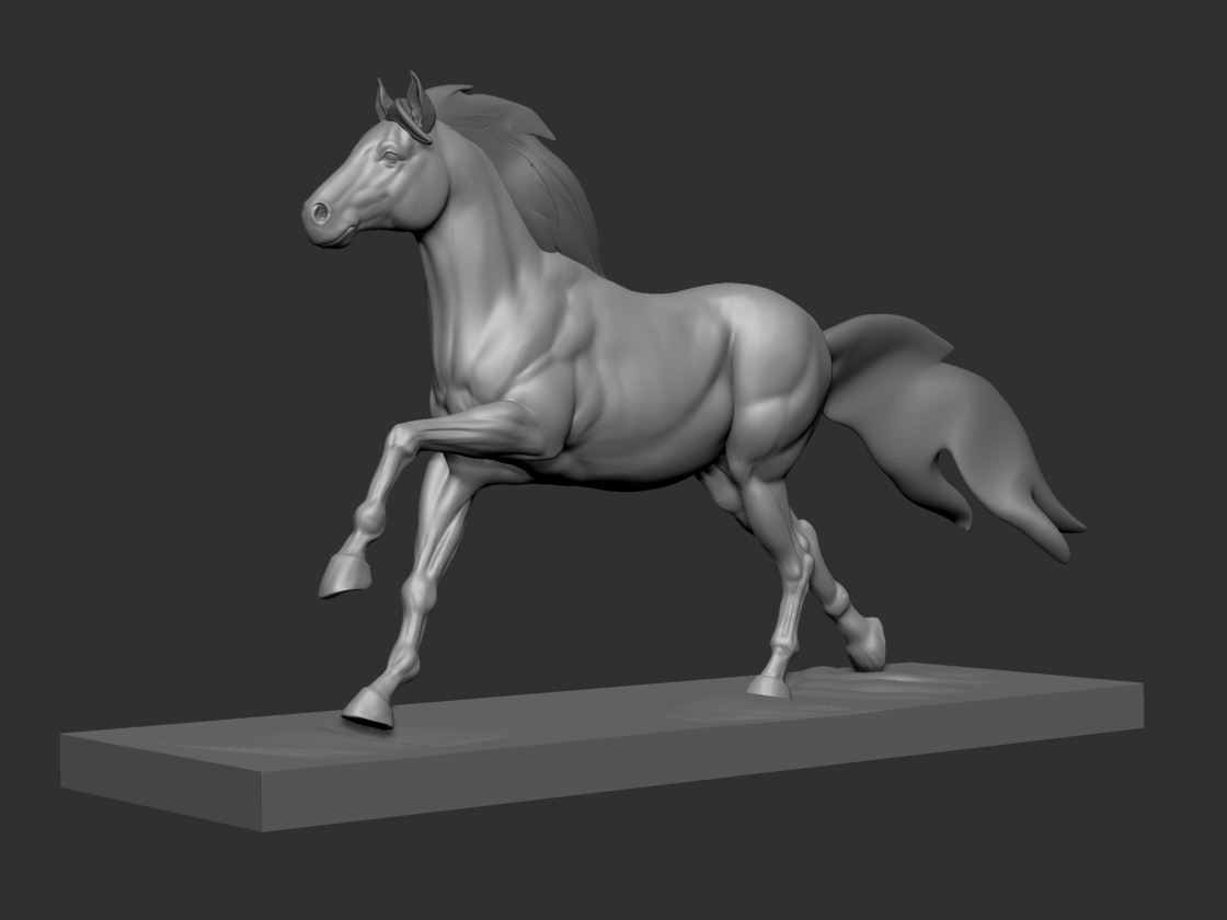 horserun.jpg