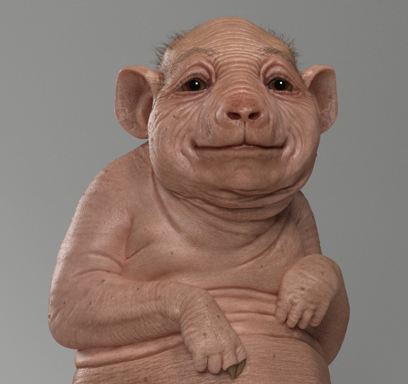 vray.jpg