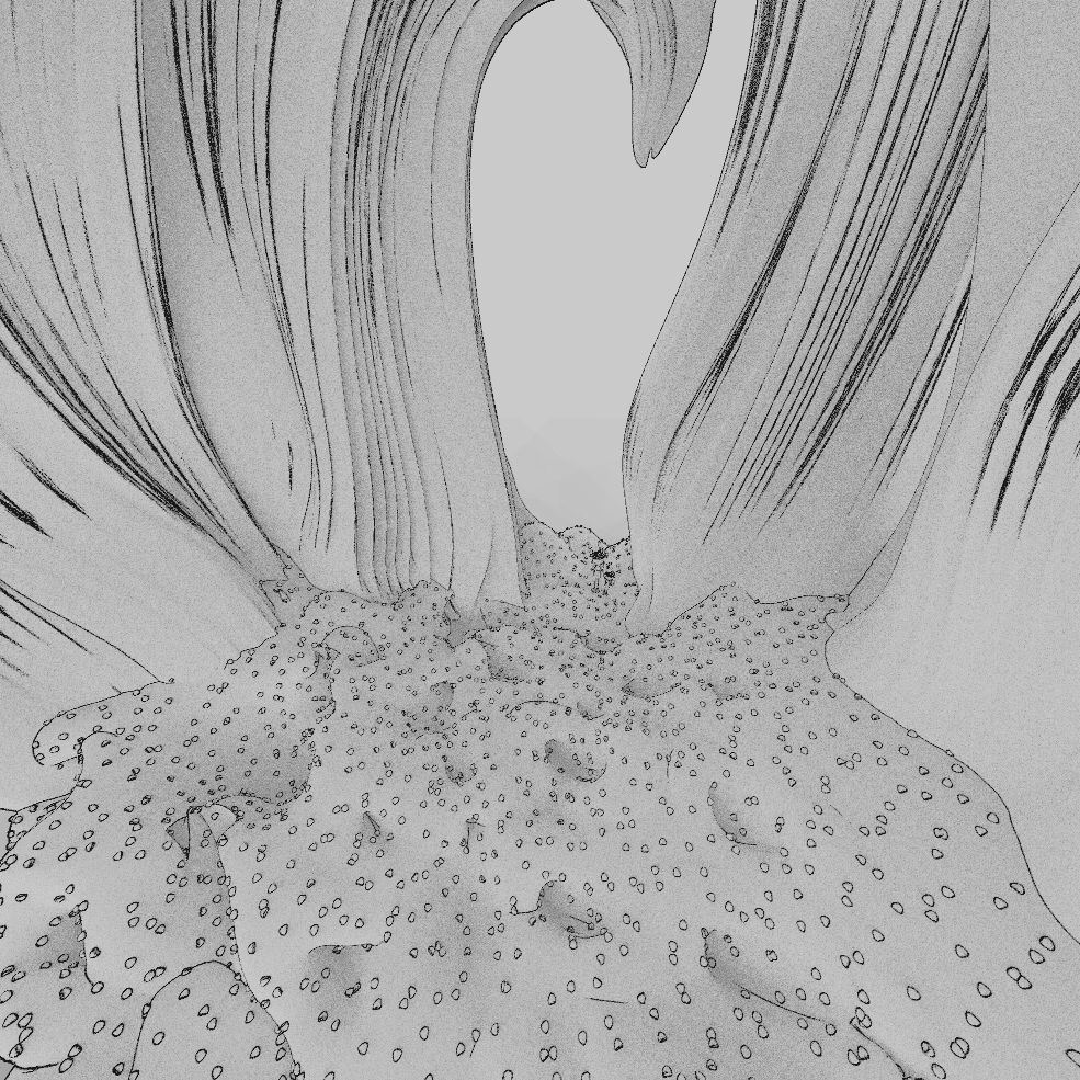 untitled.164.jpg