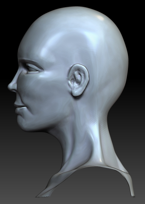 FEMALE ANATOMY retry17.jpg