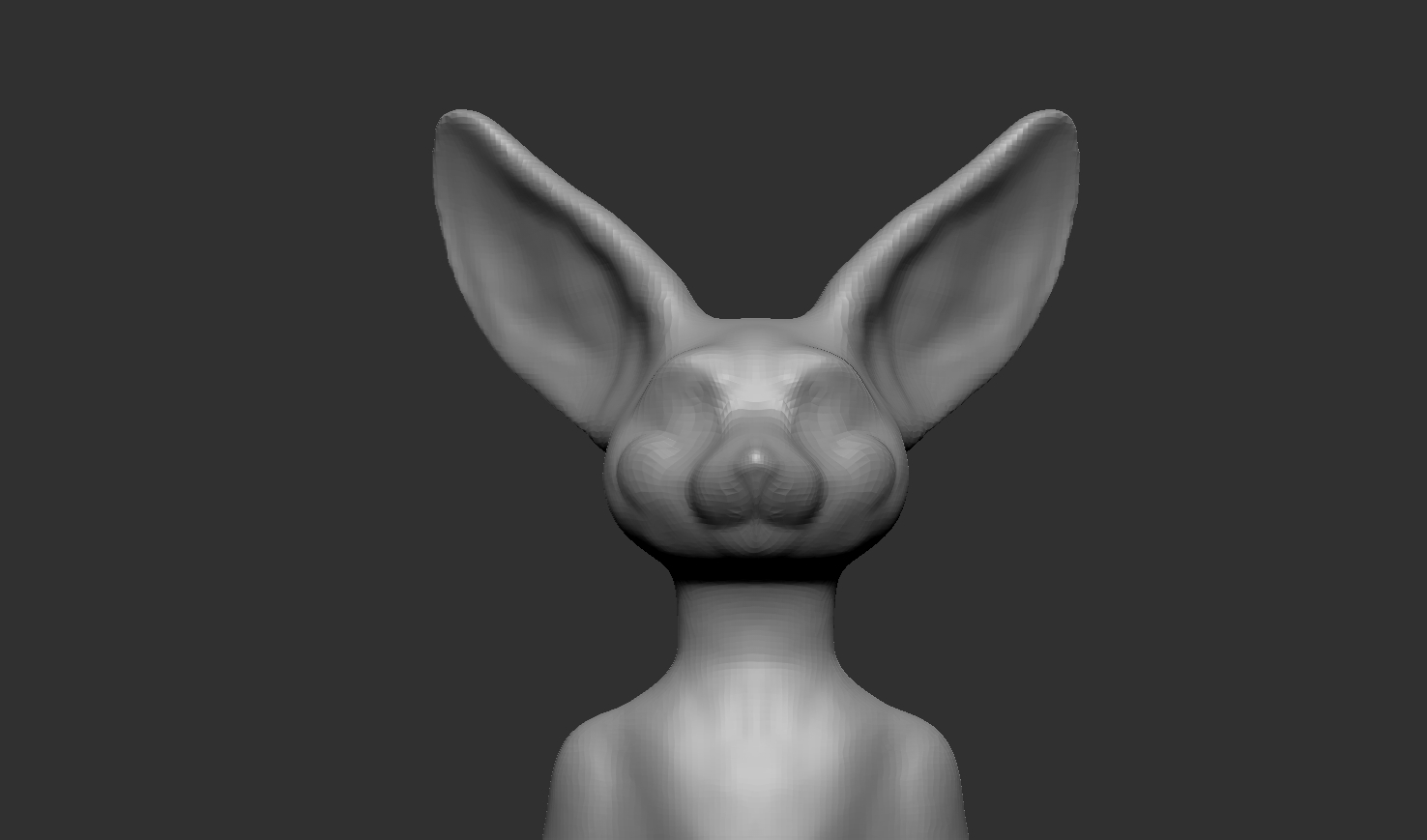 fennec fox head.jpg