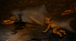DOLPHINOIL 35.jpg