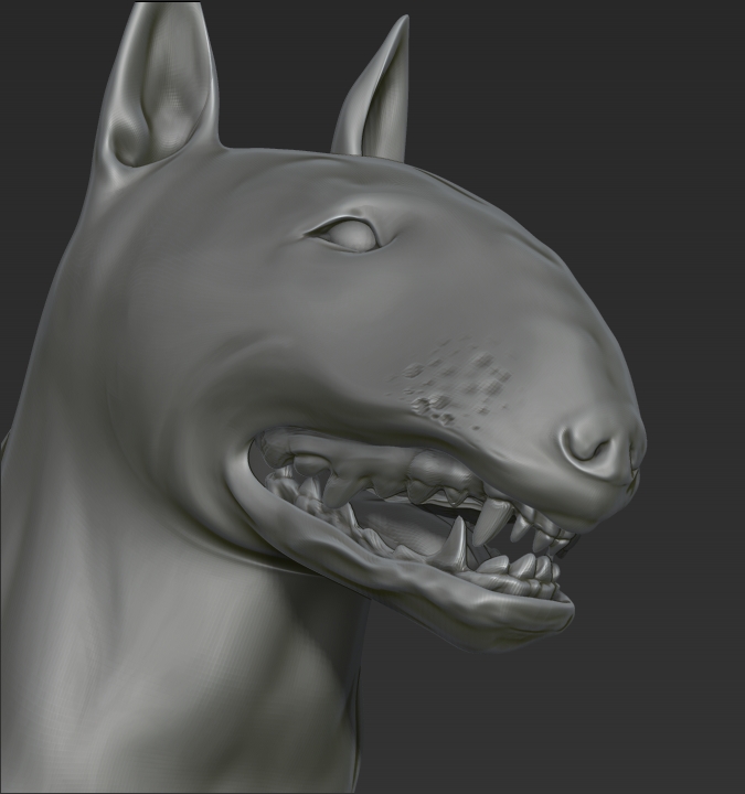 face.jpg