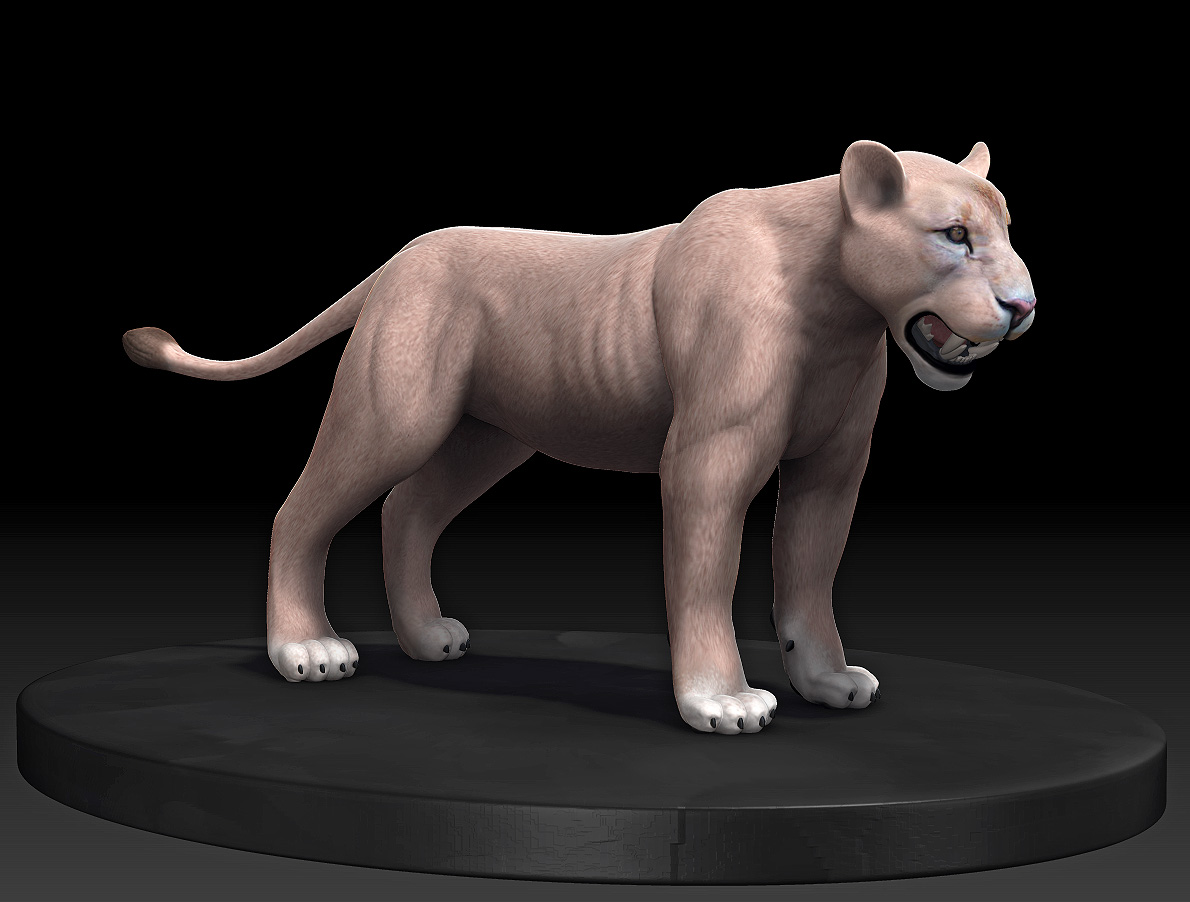 lion4.jpg