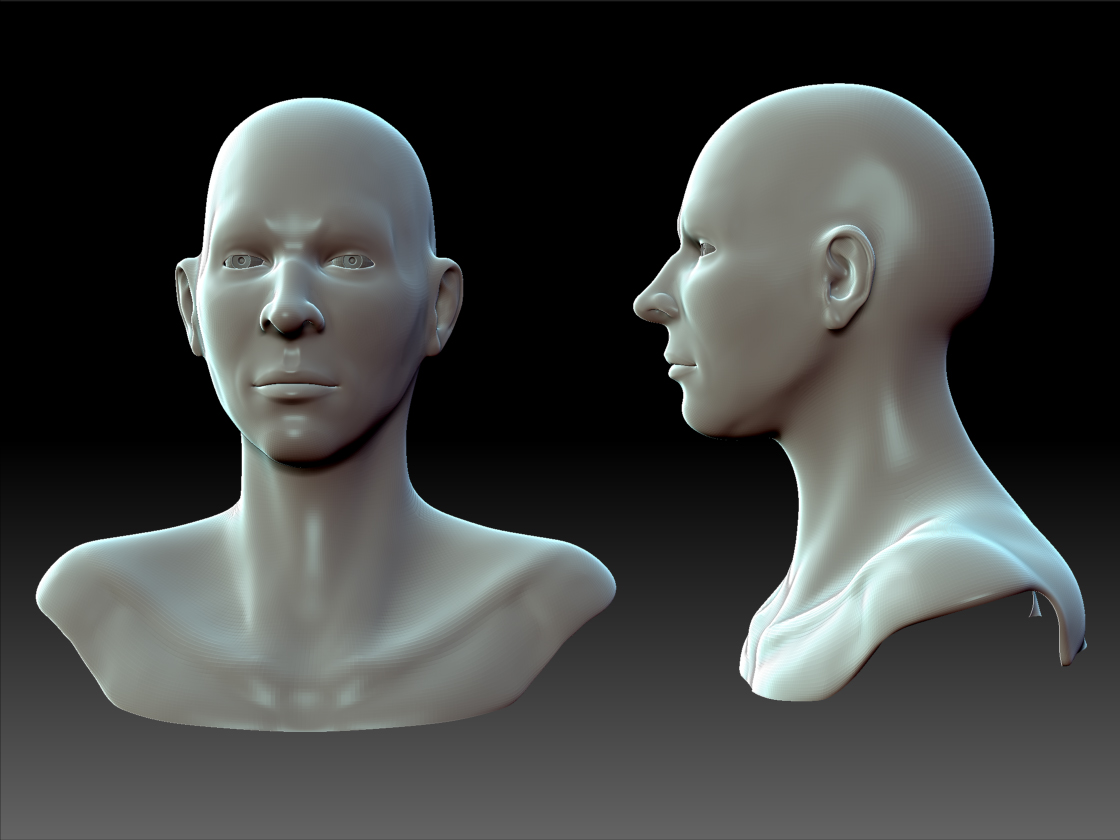 Bust WIP 08.jpg