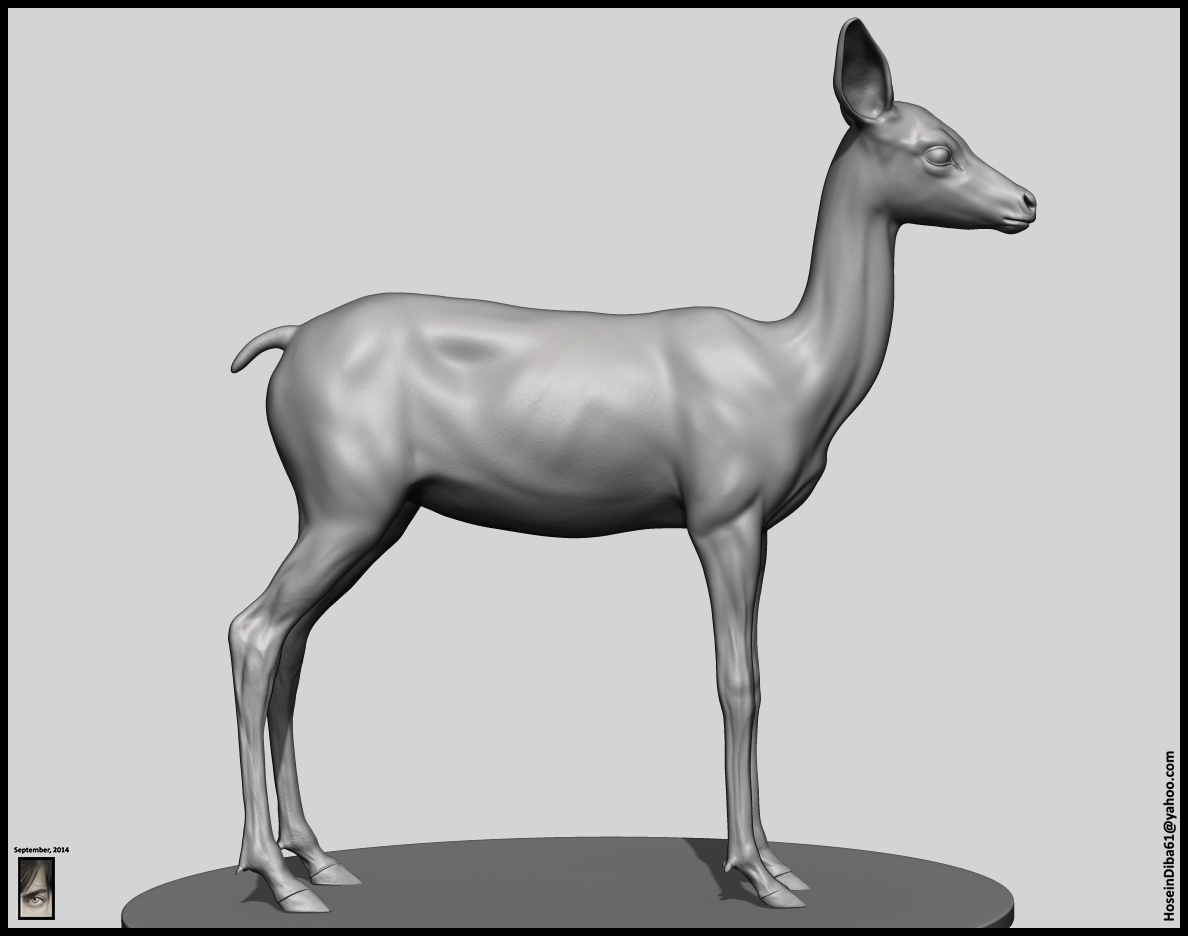 Fawn_Deer_12.jpg