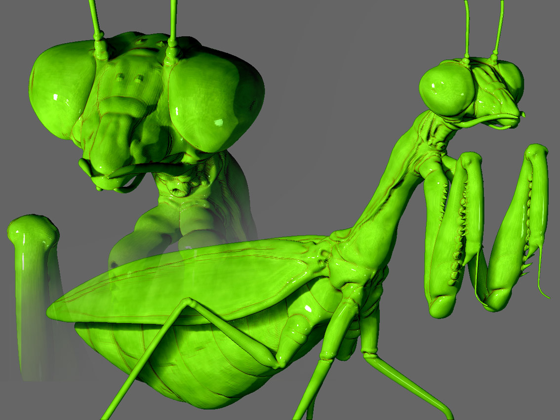 mantis_03.jpg
