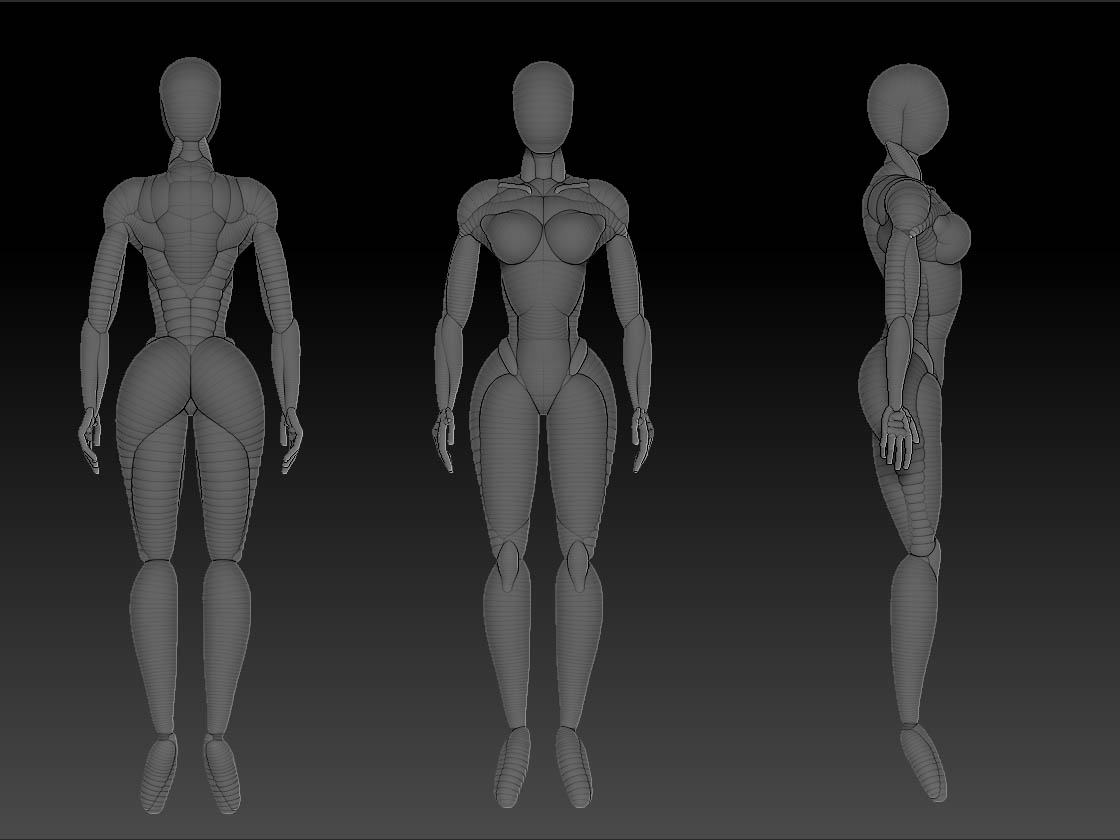 FemaleZsketch2.jpg