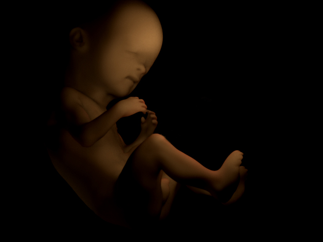 fetus_shader_test_02.jpg