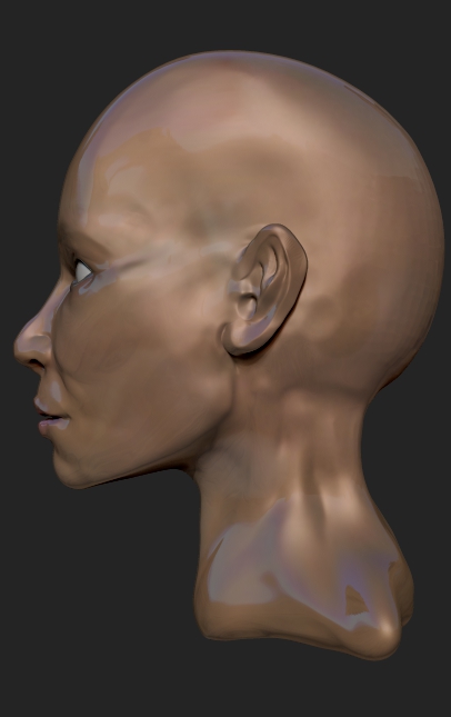 FEMALE ANATOMY retry27.jpg