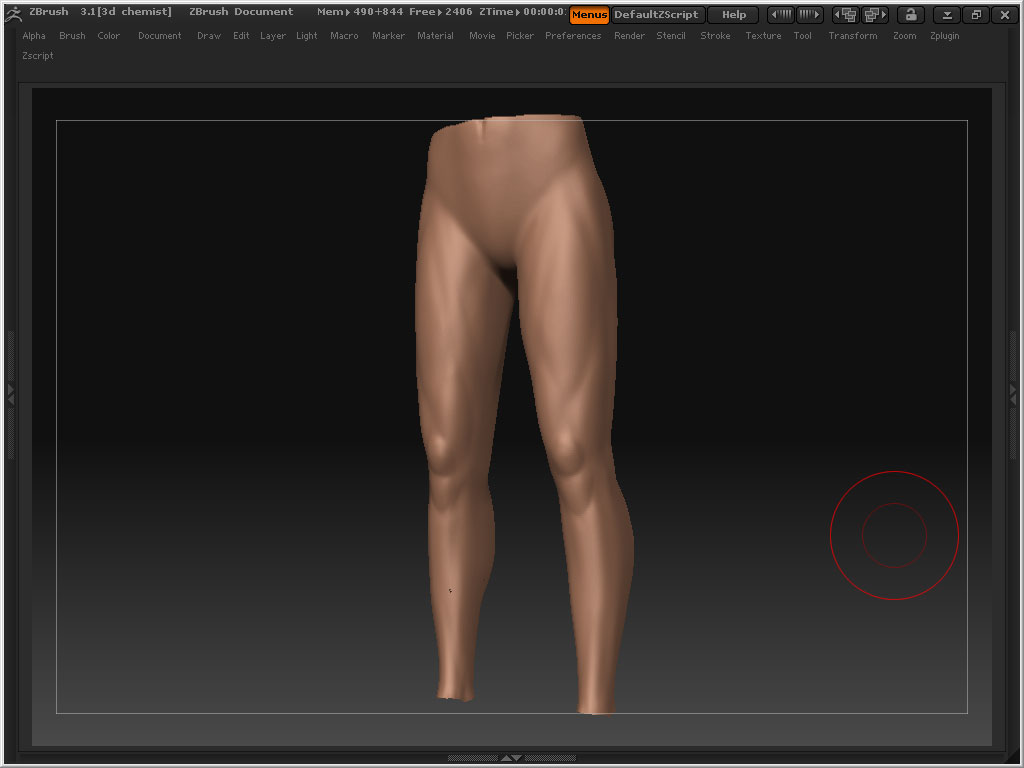 Legs1.jpg