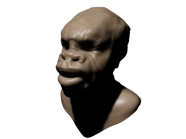 head