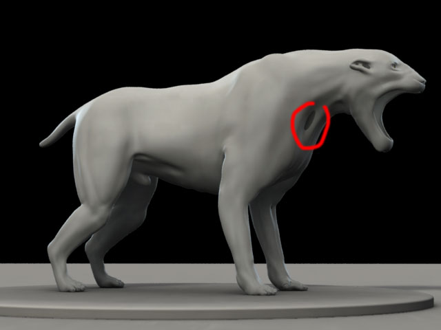 test.jpg