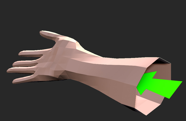 arm.jpg