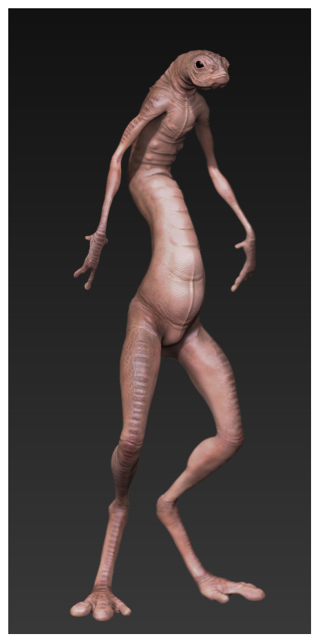 BPR_Render.jpg