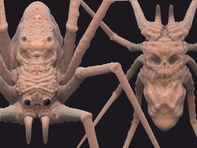 spider22.JPG