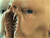 thumb3.jpg