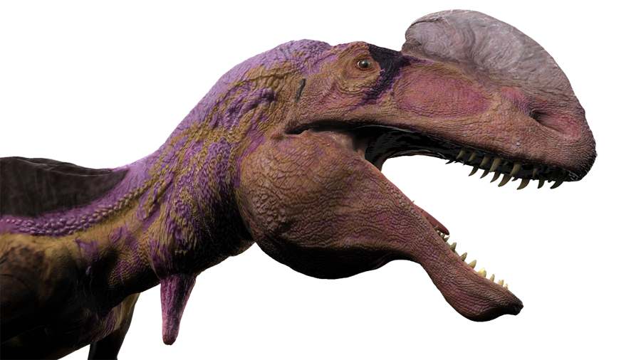 guanlong7.jpg