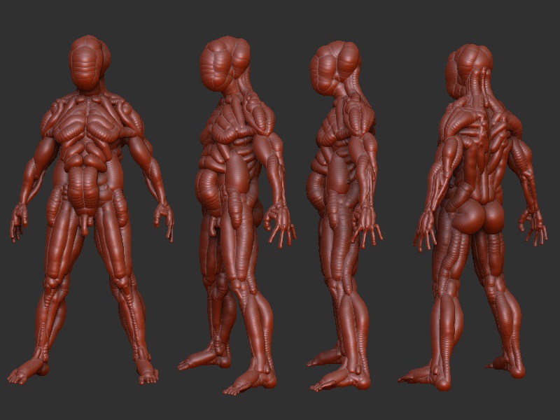 finishedzsketch.jpg