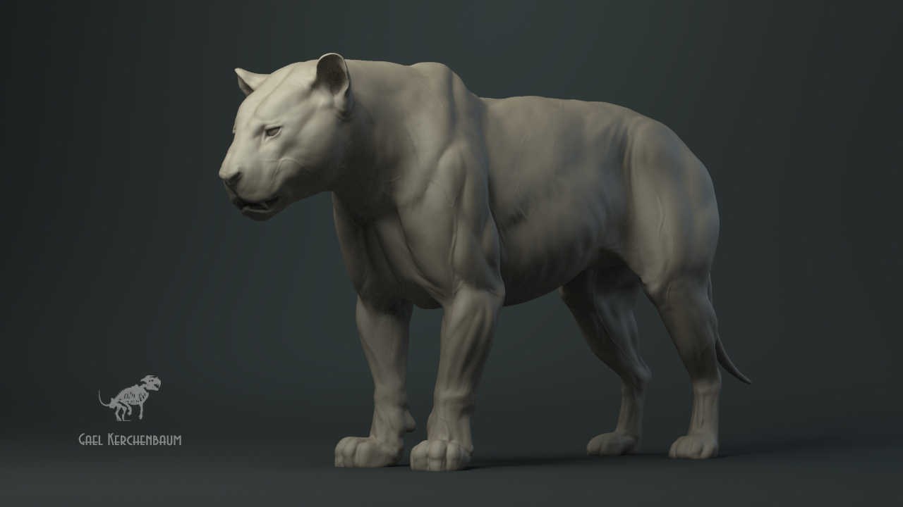 tigre_011_wip.jpg