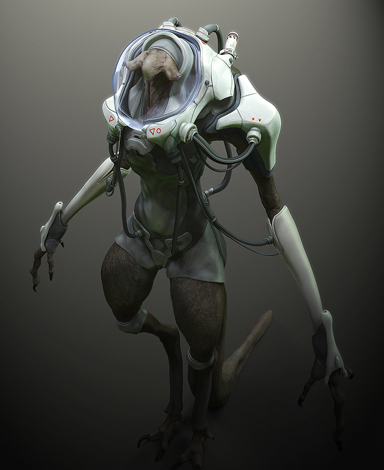 KP_Diver_Comp3_web2.jpg