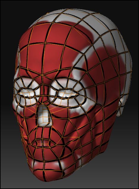 retoposkull.JPG