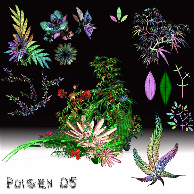 plantsP.jpg