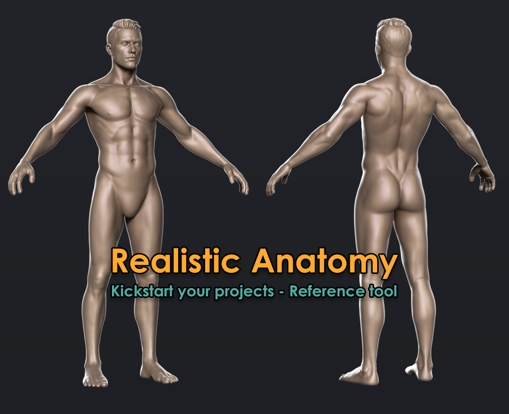 High_Body_Male.jpg