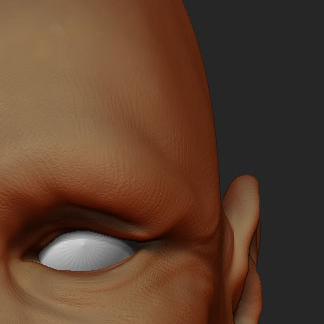 thumb.jpg