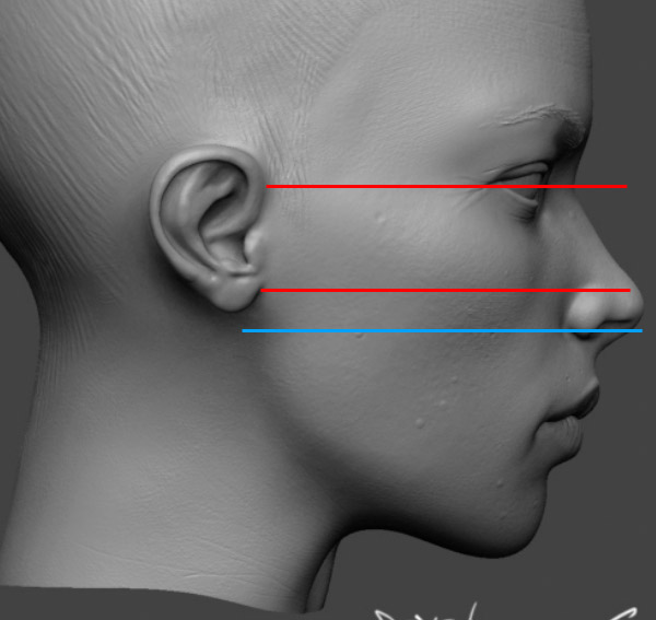 ear_.jpg