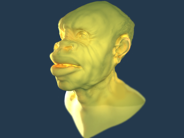 head_test_SS