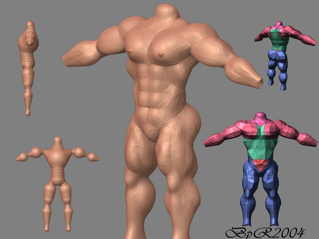 body_build_comp1.jpg