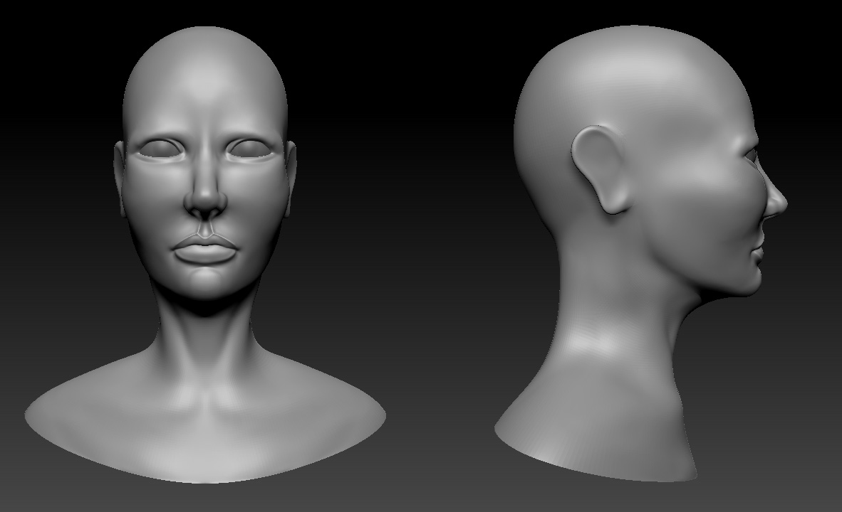 head_2_wip.jpg