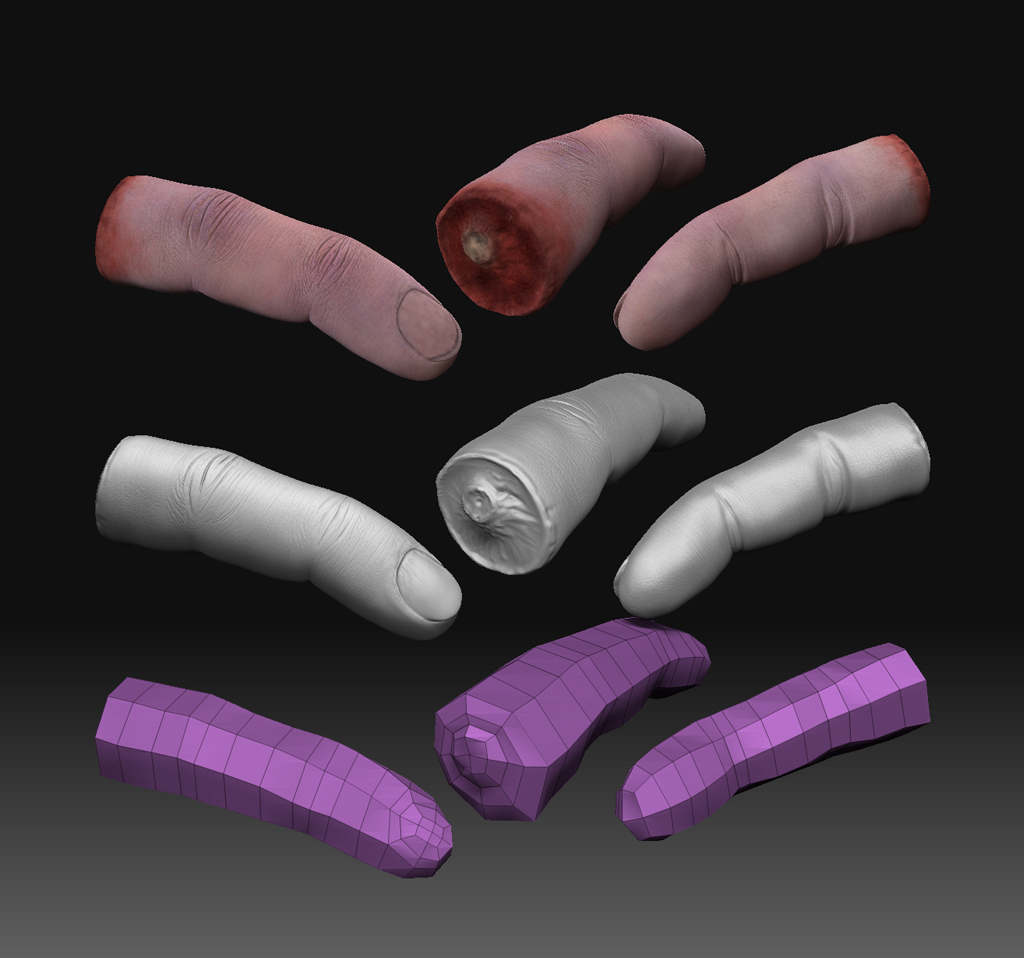 finger_model.jpg