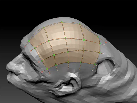 008TopologyBasics.jpg