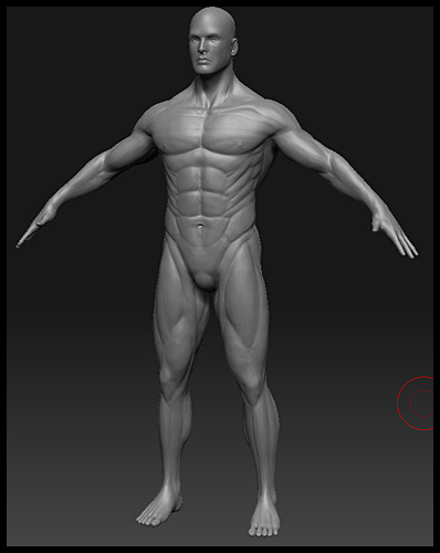 human_male_athletic_WIP_001.jpg