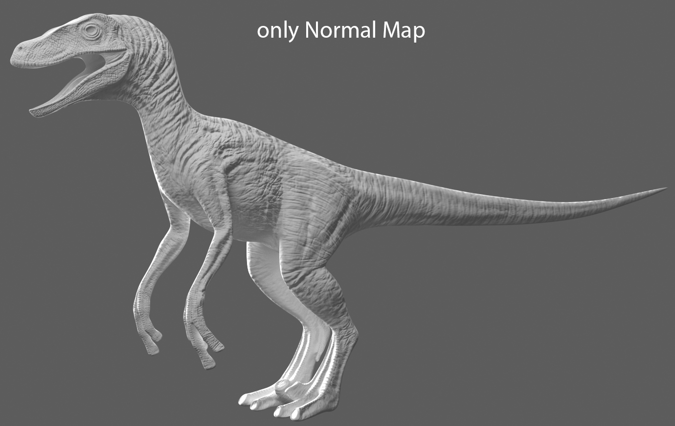 normalmap.jpg