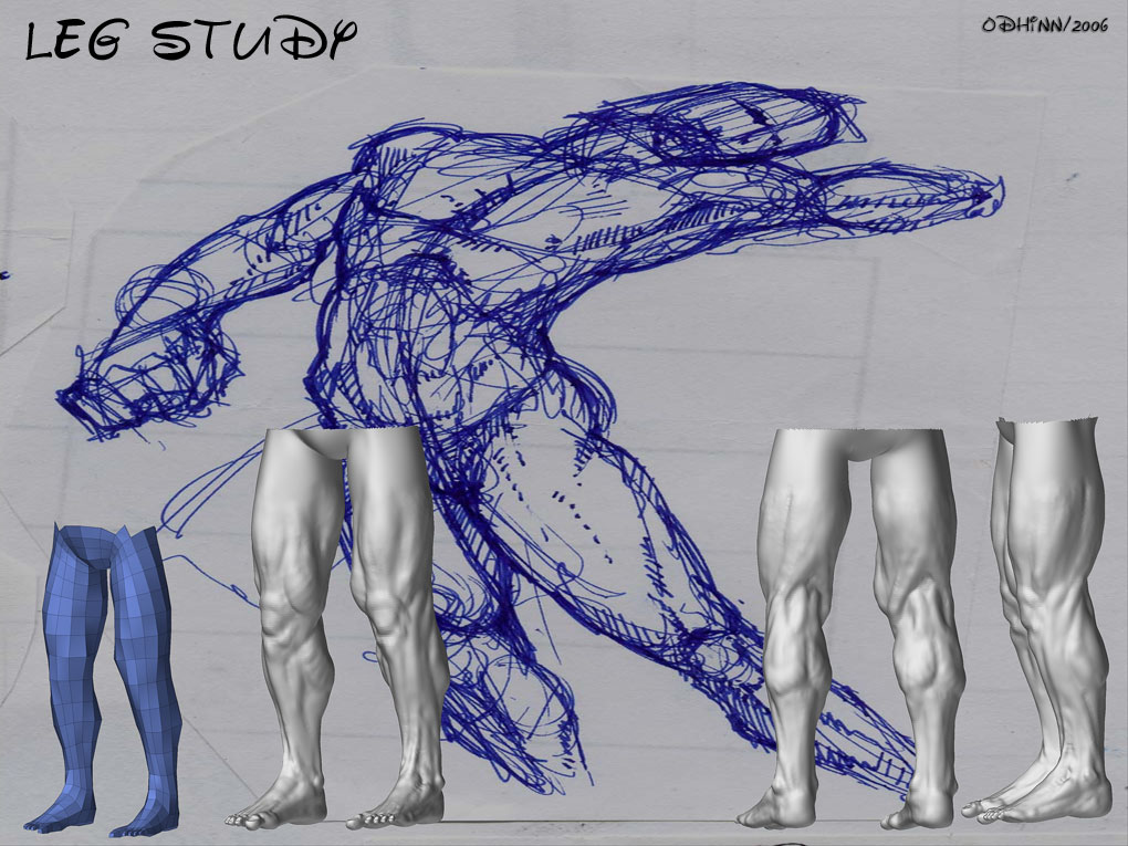 LEG_STUDY1020.jpg