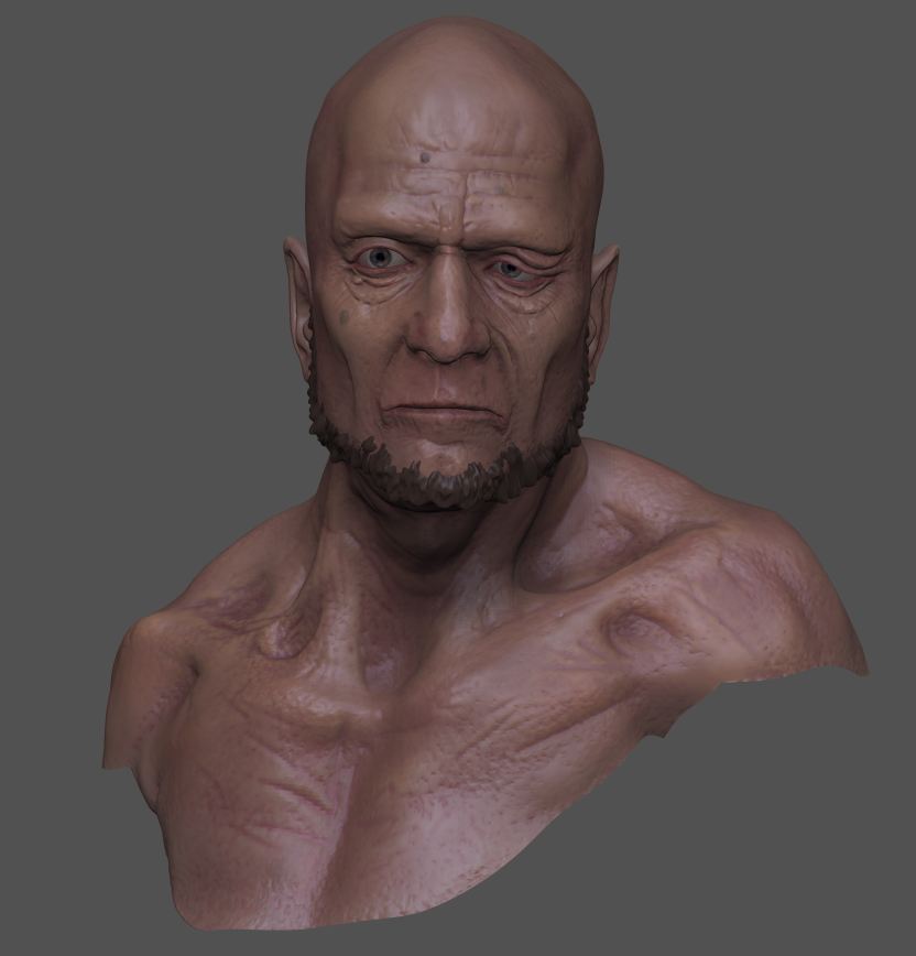 Detail_Head_ZBrush.JPG