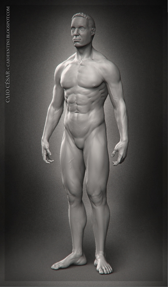 estudo-de-anatomia-1